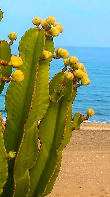 Sea View Penthouse Apartment Mojacar